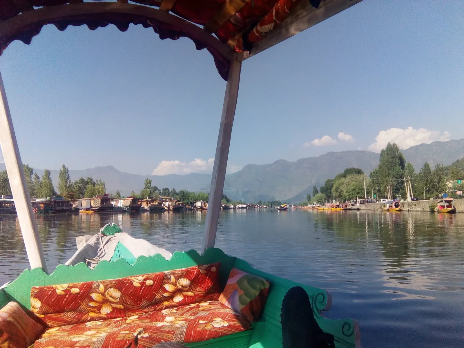 A glimpse into the world of GaVopia
