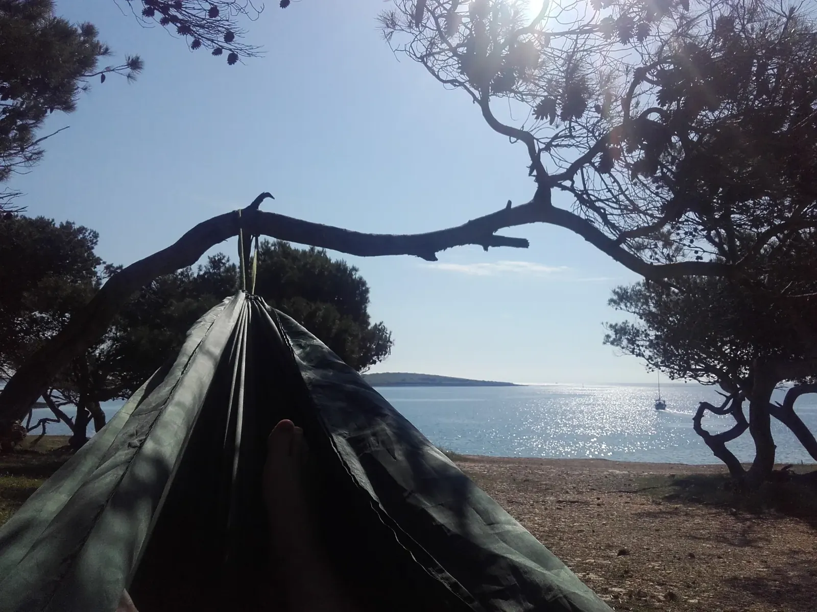 Un aperçu du monde de GaVopia