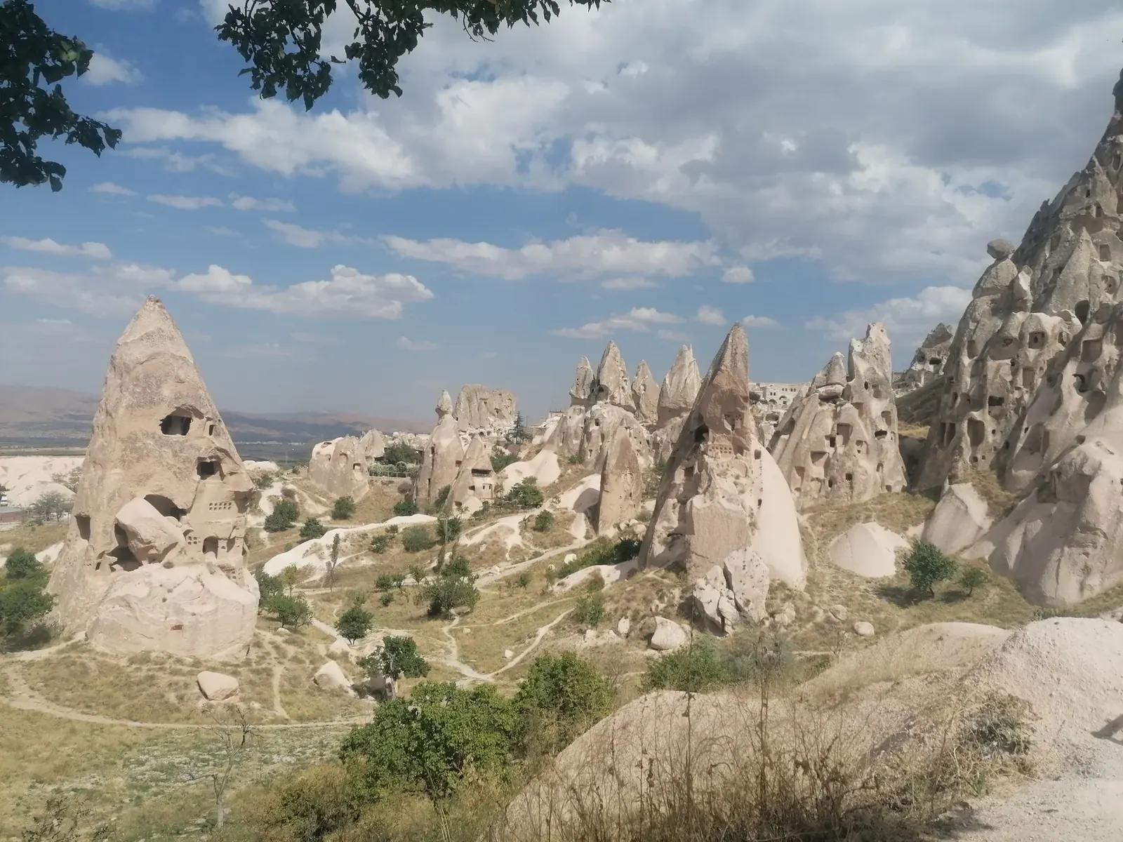 Un aperçu du monde de GaVopia